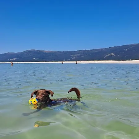 Appartement Curras En Tourinan Muxia