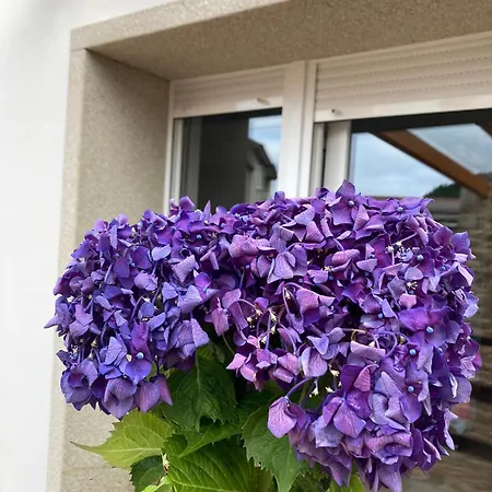 Curras En Tourinan Appartement *